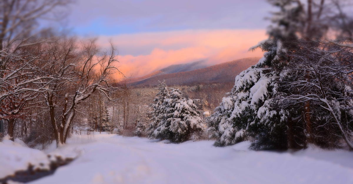Winter in Roanoke, VA | Ice Skating, Hiking & Nightlife