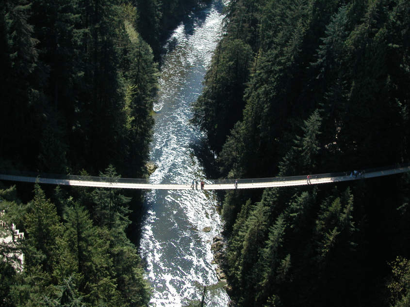 Capilano Suspension Bridge Park Guide Vancouver, BC