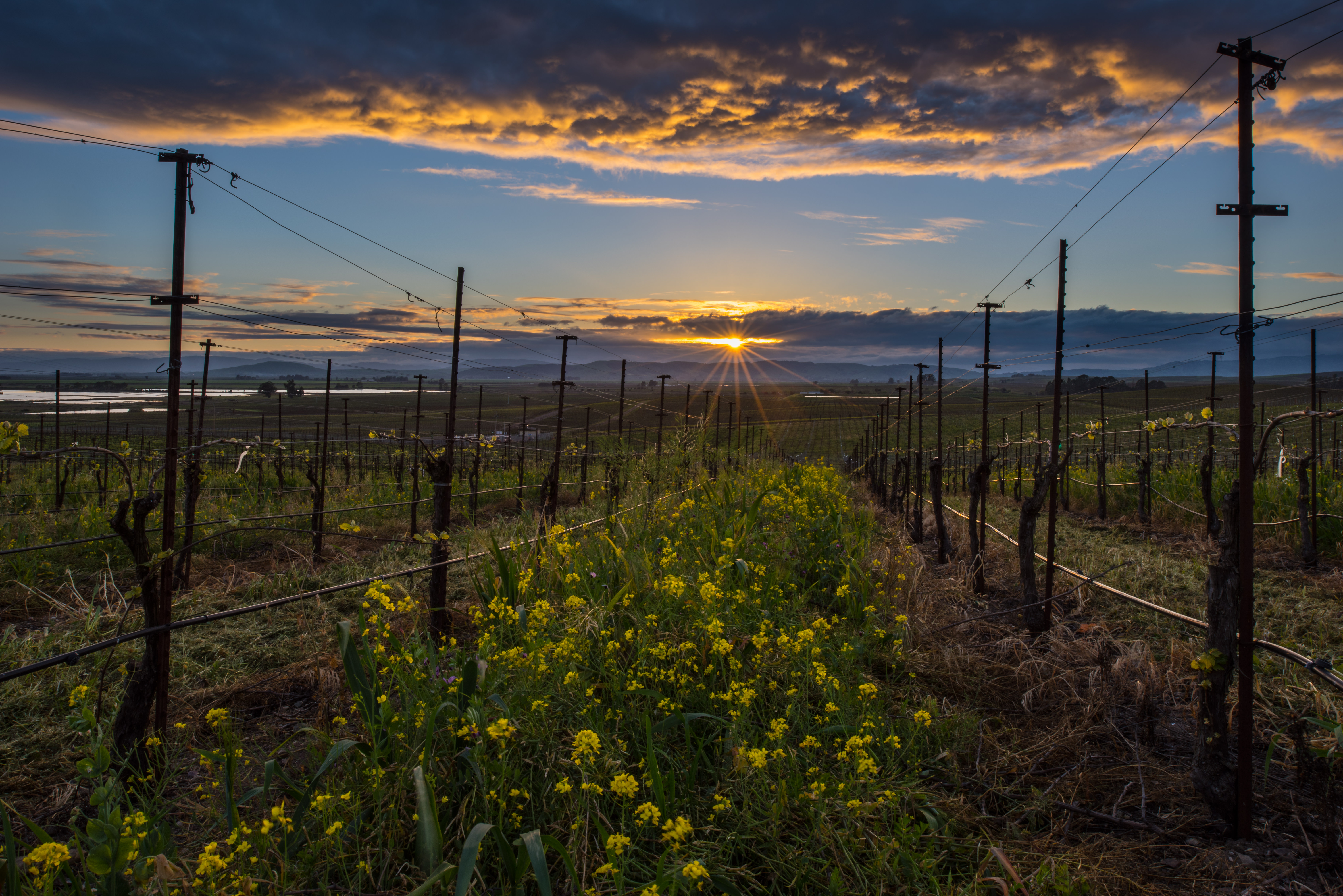 Yountville Napa Valley Destination Michelin star restaurants
