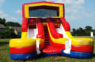16ft Double Lane Dinosaur Slides
