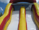 Dual Lane inflatable slide