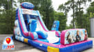 frozen child's birthday party slide