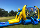 Minions Bounce House Rentals
