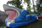 Wet and Wild Shark Party Ideas