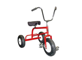 Adult Tricycle Rental
