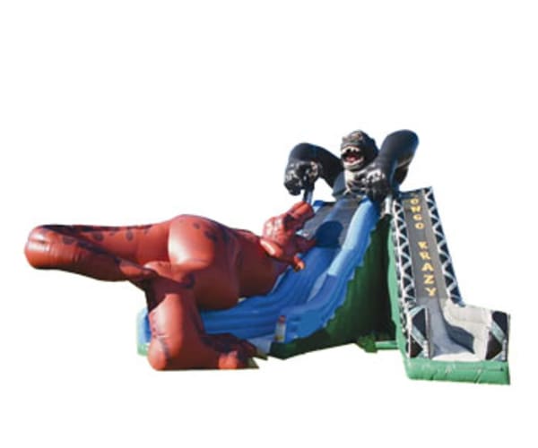 Austin & San Antonio, TX Dinosaur Inflatable Slide | Sky