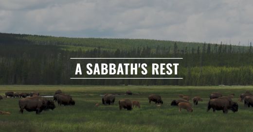 A Sabbath's Rest