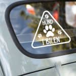 Hund i bilen klistermærke #4