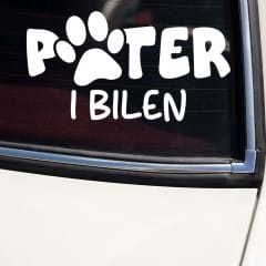 Hund i bilen