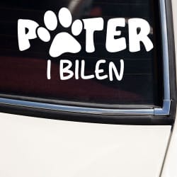 Hund i bilen klistermærke #3