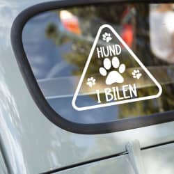 Hund i bilen klistermærke #4