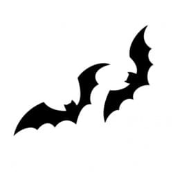Flying Bats