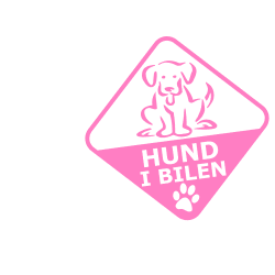 Hund i bilen