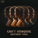 Can&#39;t Imagine (Without You)