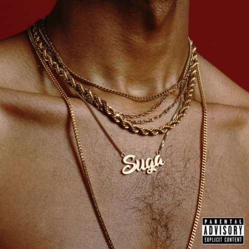 Play Too Much - Single