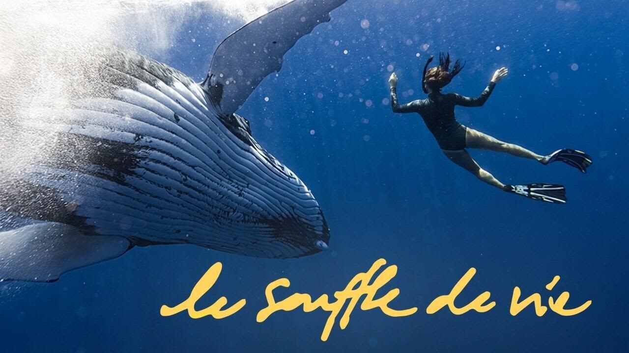 Natoo - Le souffle de Vie