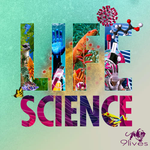 Cautious Breakthrough B