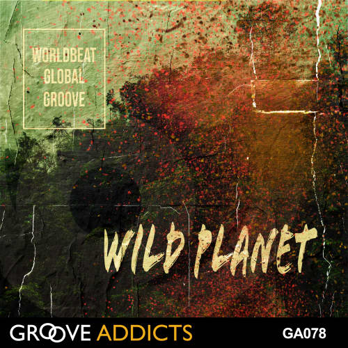 Wild Planet - Worldbeat Global Groove