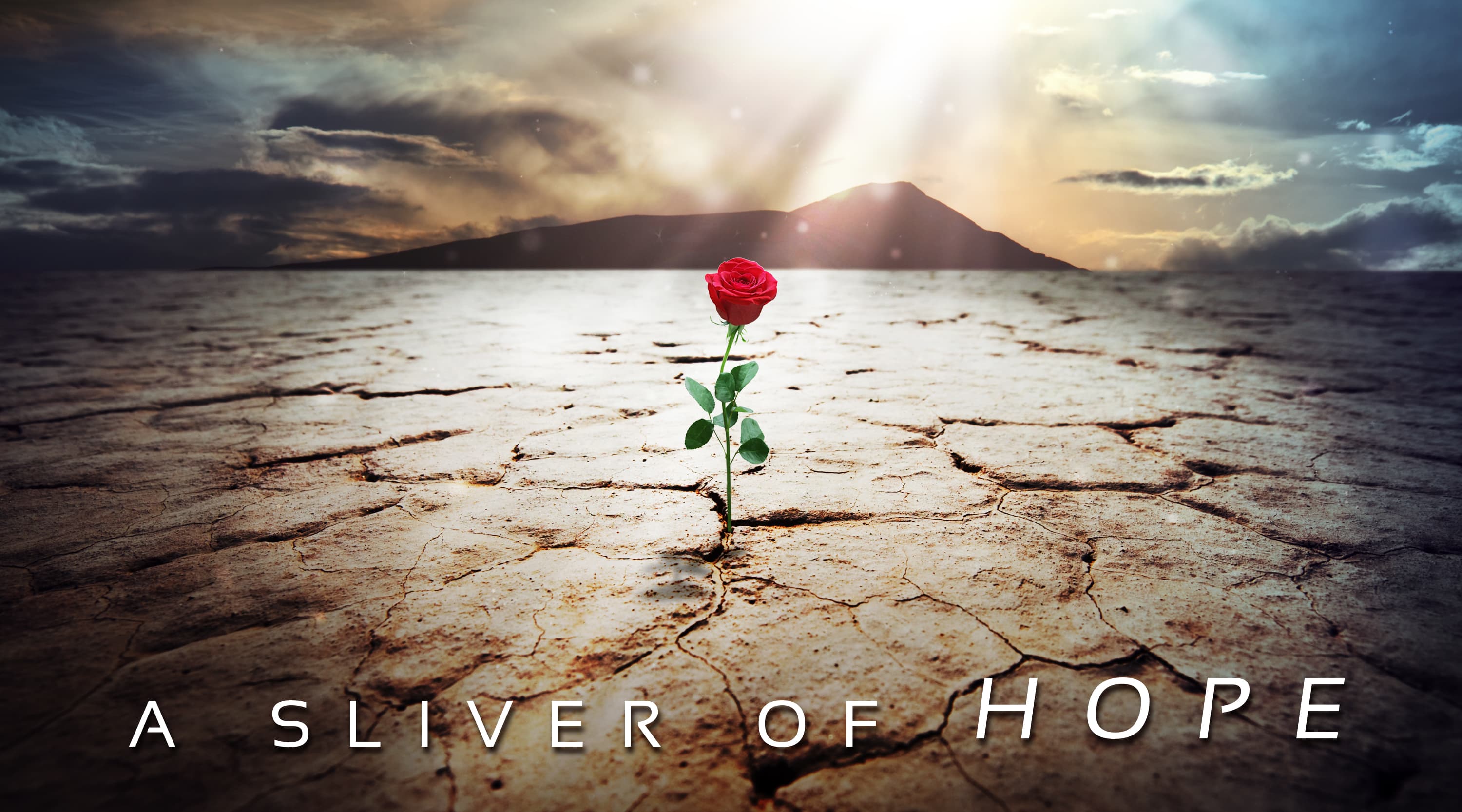 A Sliver of Hope