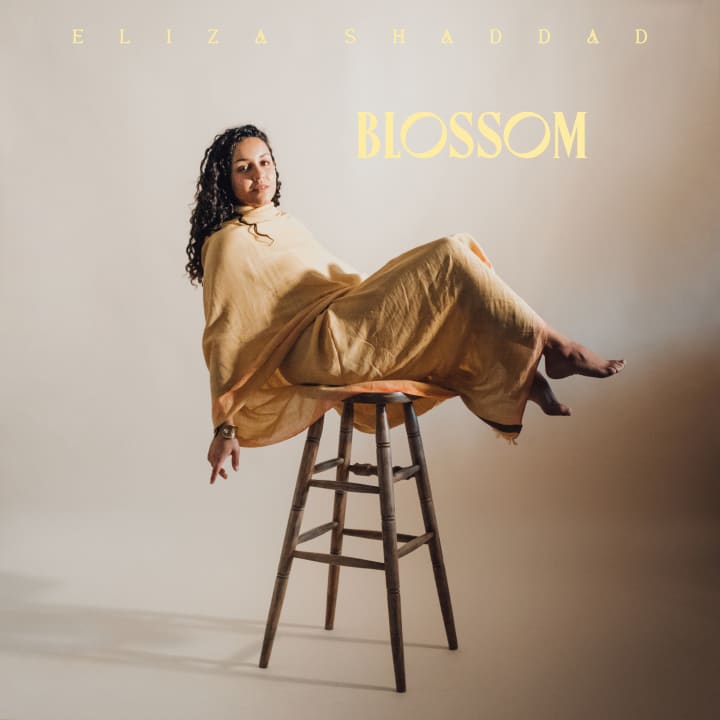Blossom (INSTRUMENTAL)