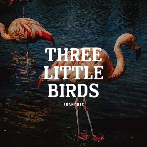 Three Little Birds (Bob Marley Cover) (Instrumental)