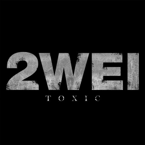 Toxic (Britney Spears Cover) - Single