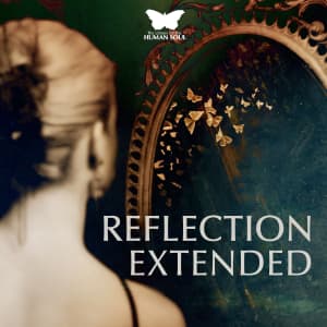 Ruminating Ambient Extended
