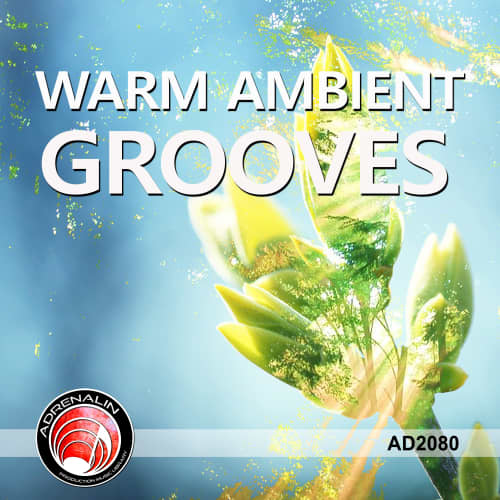 Warm Ambient Grooves