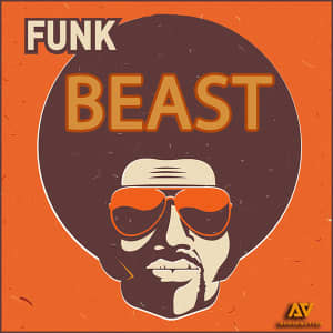 Funk In The Trunk