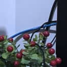 Gaming and eSports: Player Profiles