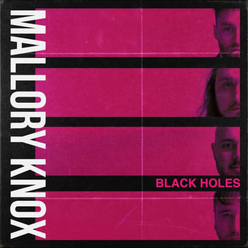 Black Holes