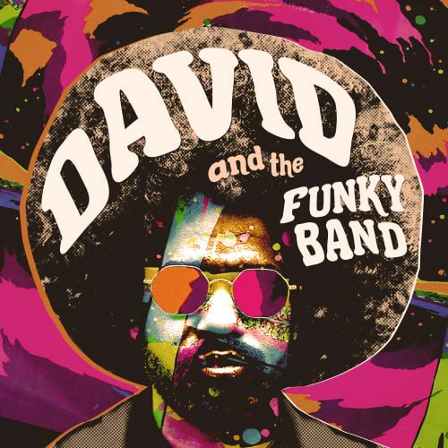 David And The Funky Band