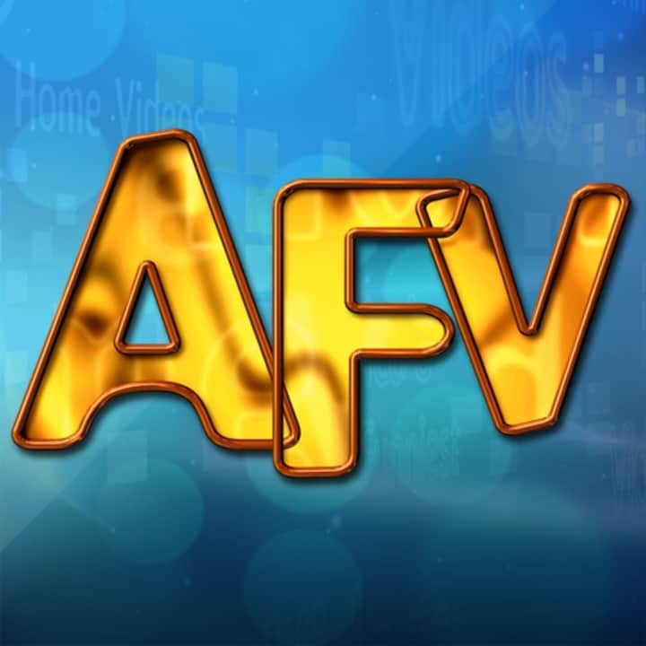 America's Funniest Home Videos Montage Features PICTURE PERFECT DAYS