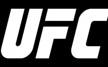 UFC 295: Prochazka vs Pereira - History Is Calling