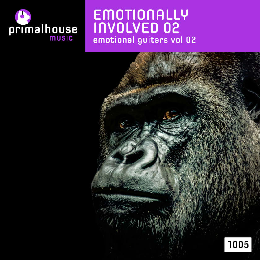 Emotionally Involved 01 Emotional Guitars Vol 01