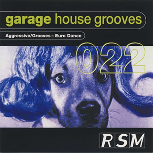 Garage House Grooves