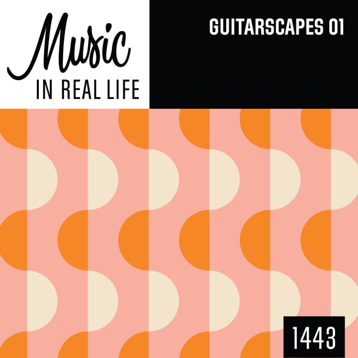 Guitarscapes
