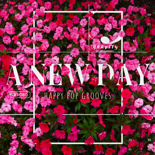 A New Day - Happy Pop Grooves