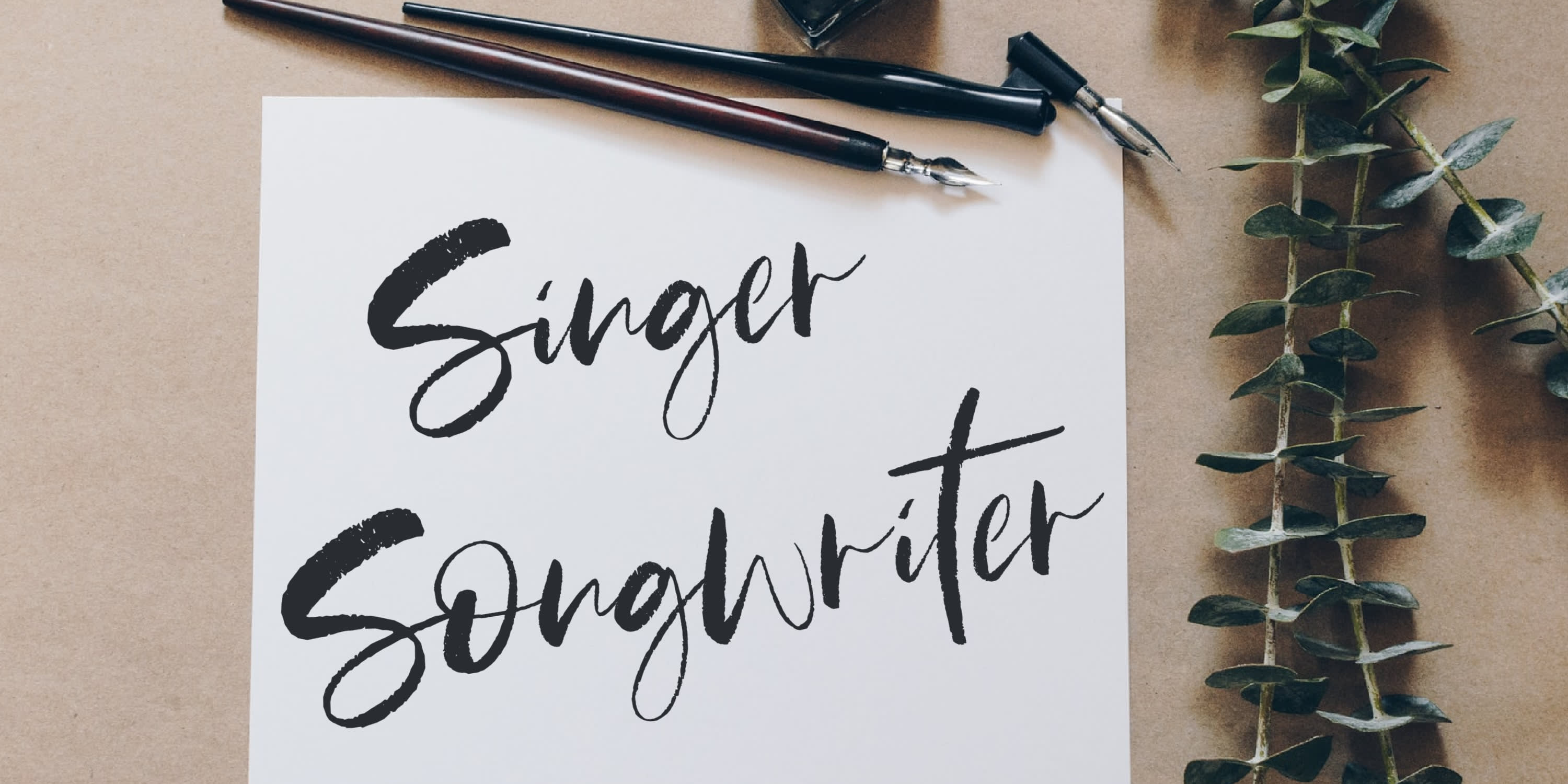 Singer Songwriter
