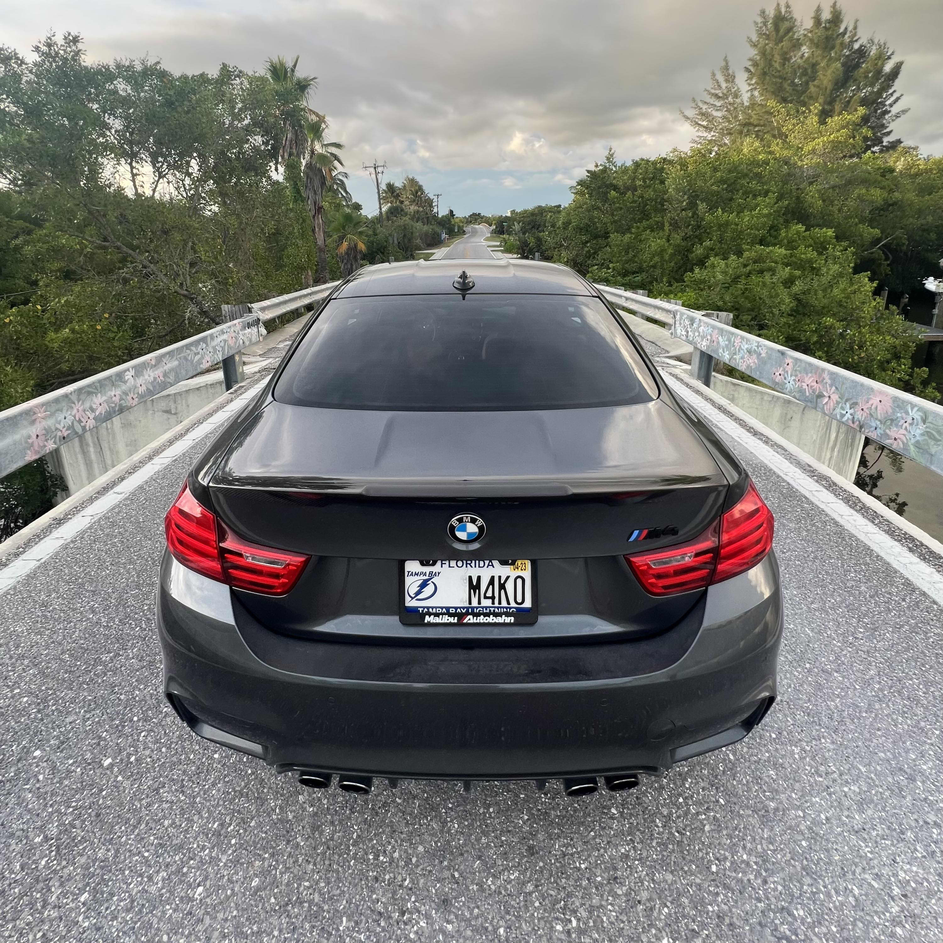 M4ko Shark