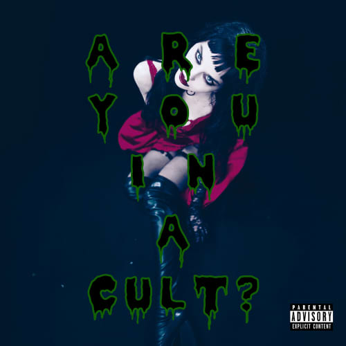 Are You in a Cult?