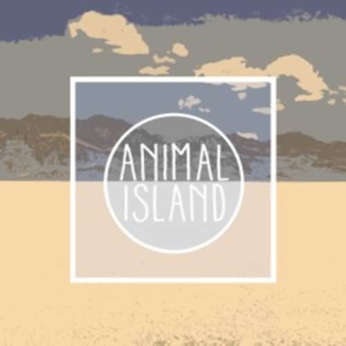 Animal Island