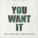 You Want It (Feat. Ohana Bam & Marvin Brooks) (No Intro)