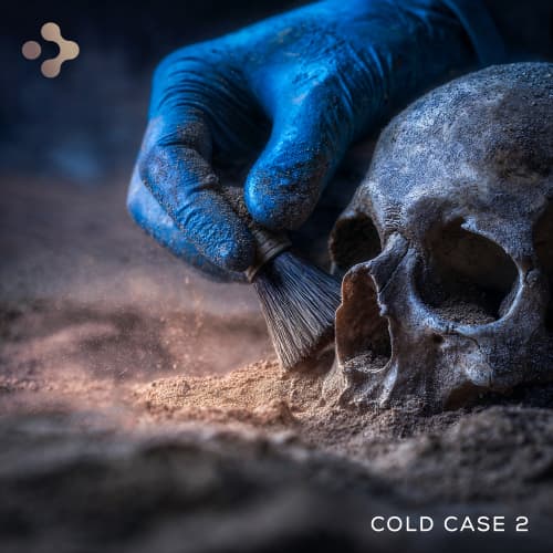 Cold Case 2
