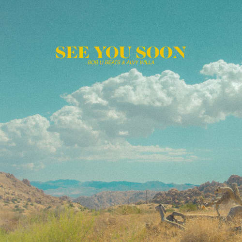 See You Soon (Instrumental)