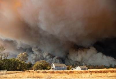 Why Are Our Rainforests Burning Pursuit By The University Of Melbourne