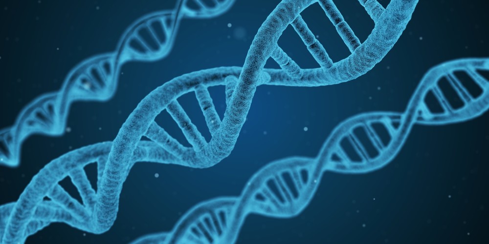 Who Owns Your DNA?