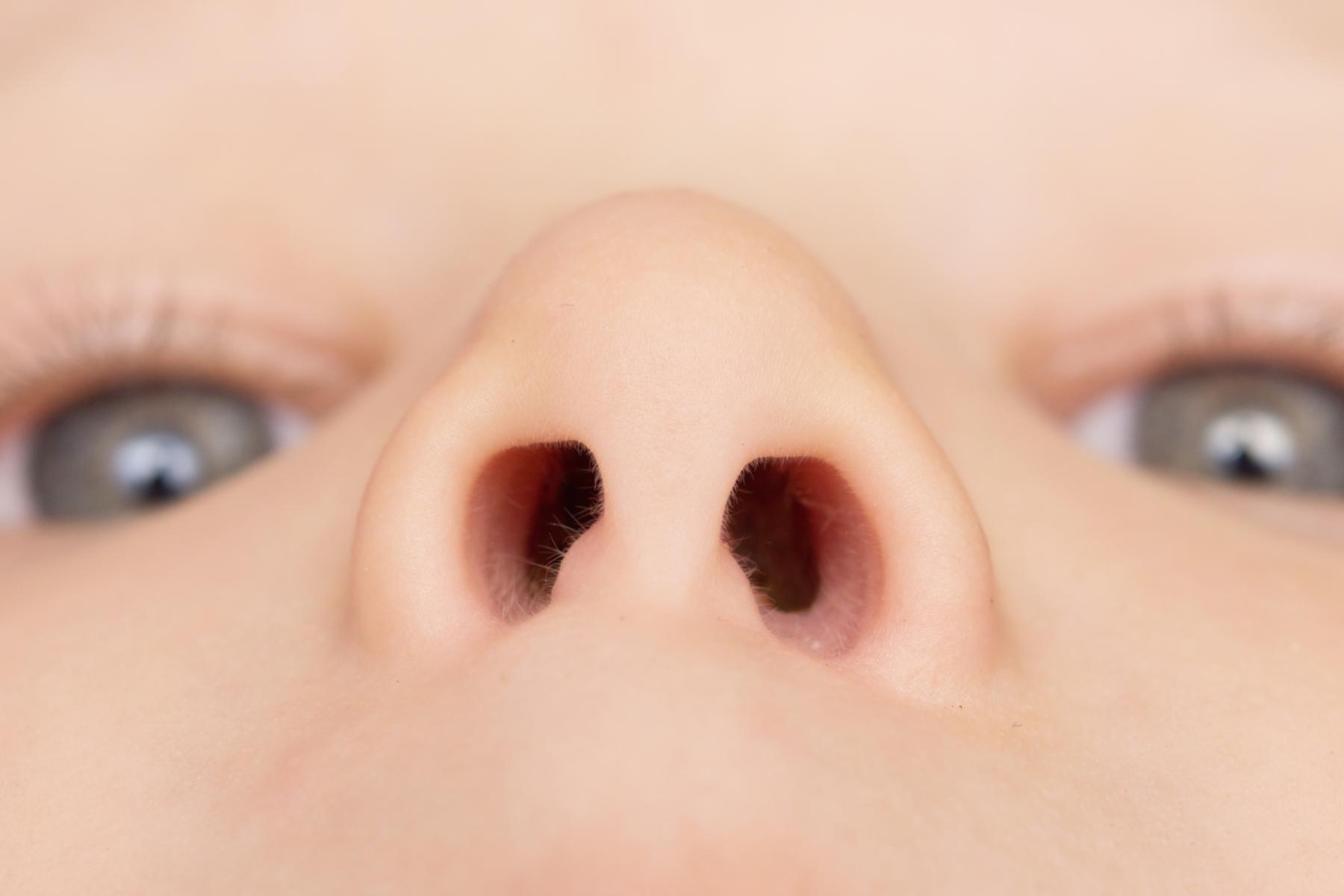 Какой нос будет у ребенка