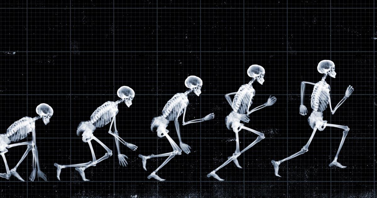 4 things you may not know about human anatomy | Pursuit by The