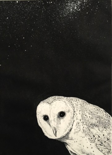 The Universe Looks Down
